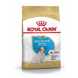 Breed Nutrition - Jack Russell Puppy