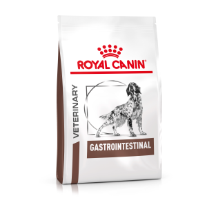 Gastrointestinal Tract - Gastro Intestinal Dog